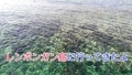 20190817111432