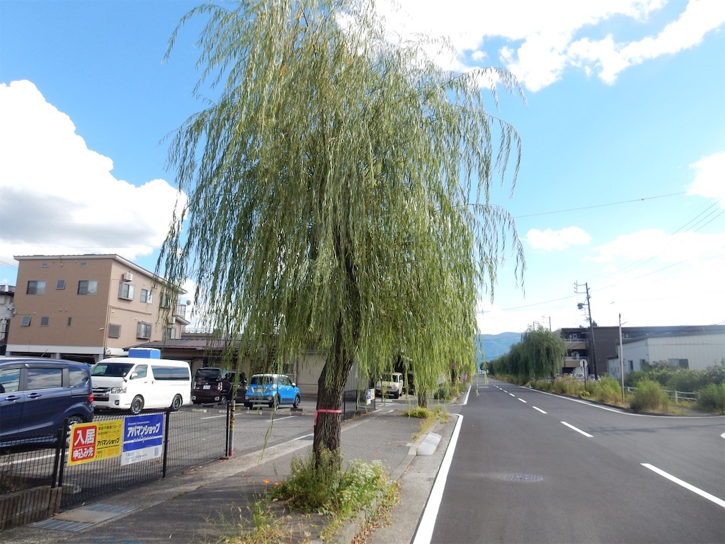 からあげや真心/下諏訪