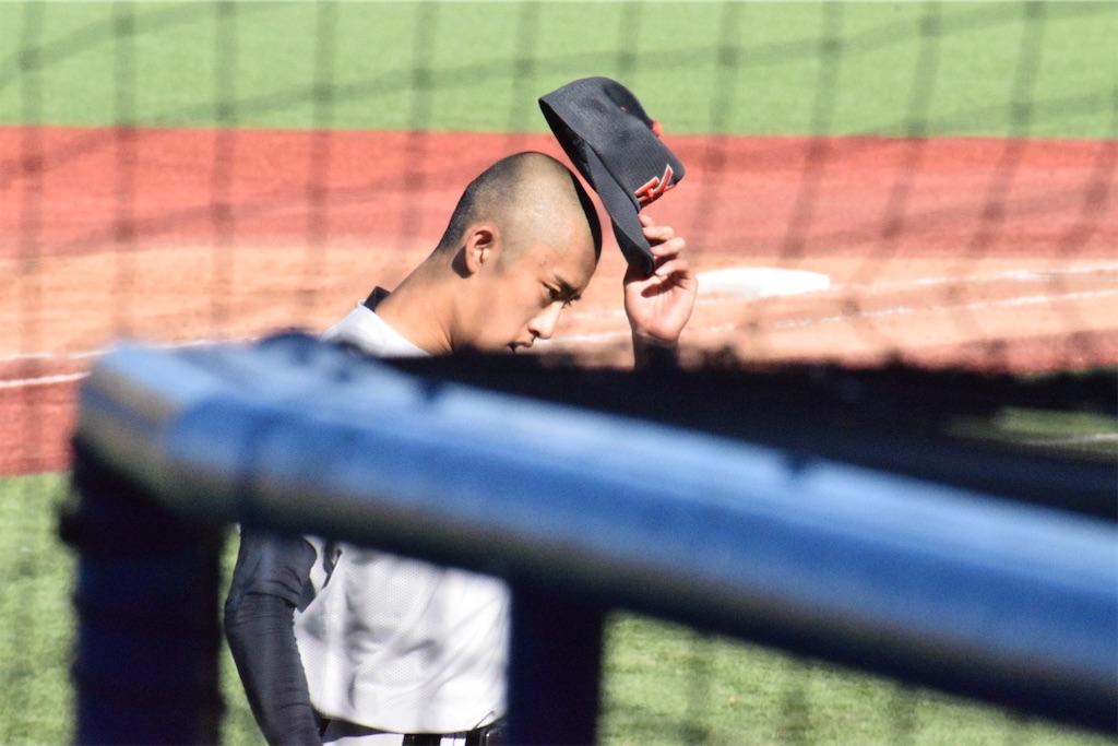 明治神宮野球大会〜青学最強の証明と横浜高校の怪物