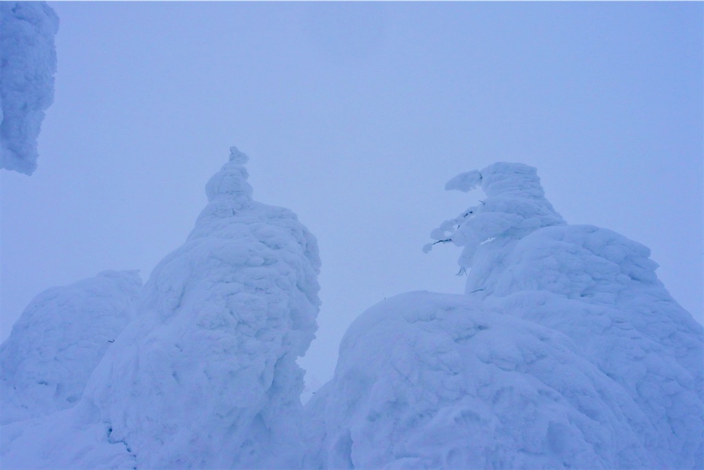 赤湯温泉「やまと屋」〜 吹雪く蔵王