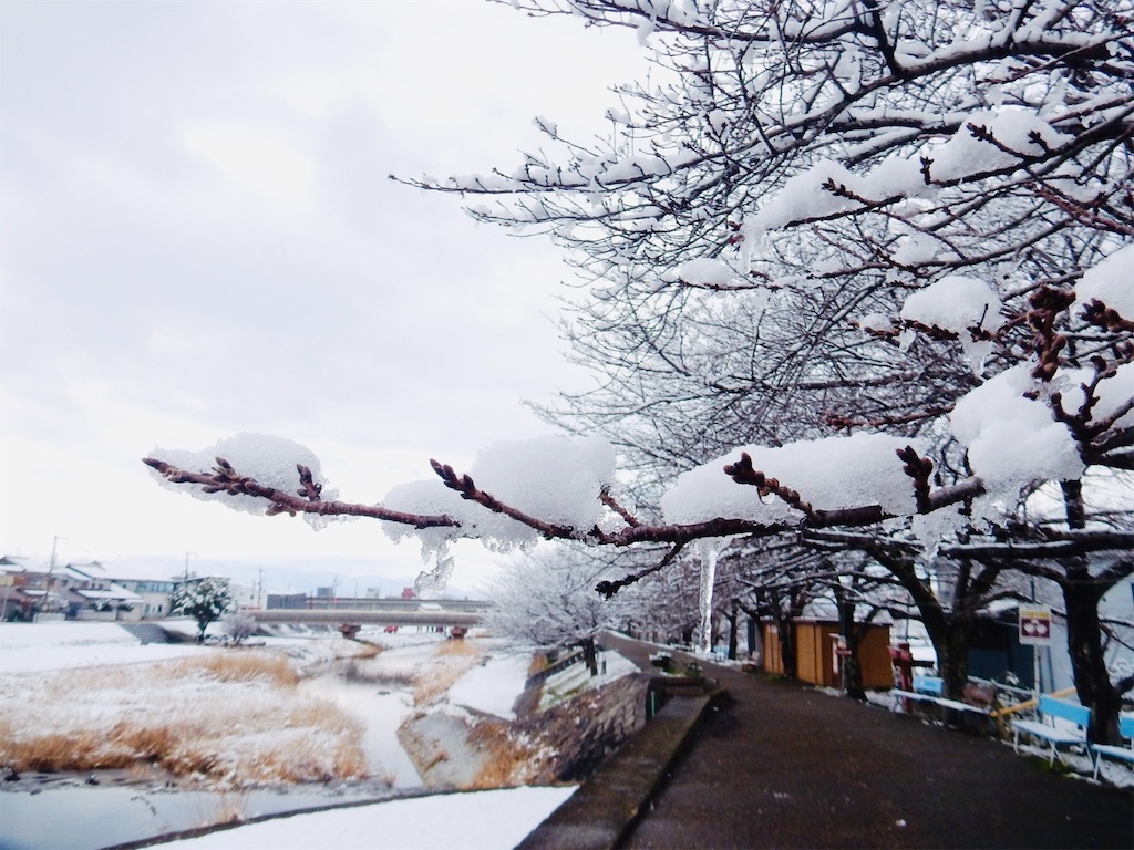 恋灯篭のゆくえ〜初瀬川（大和川）の流れに託す万葉の灯