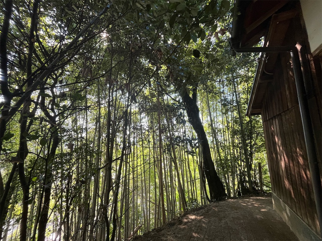 八坂神社、奈良県桜井市金屋