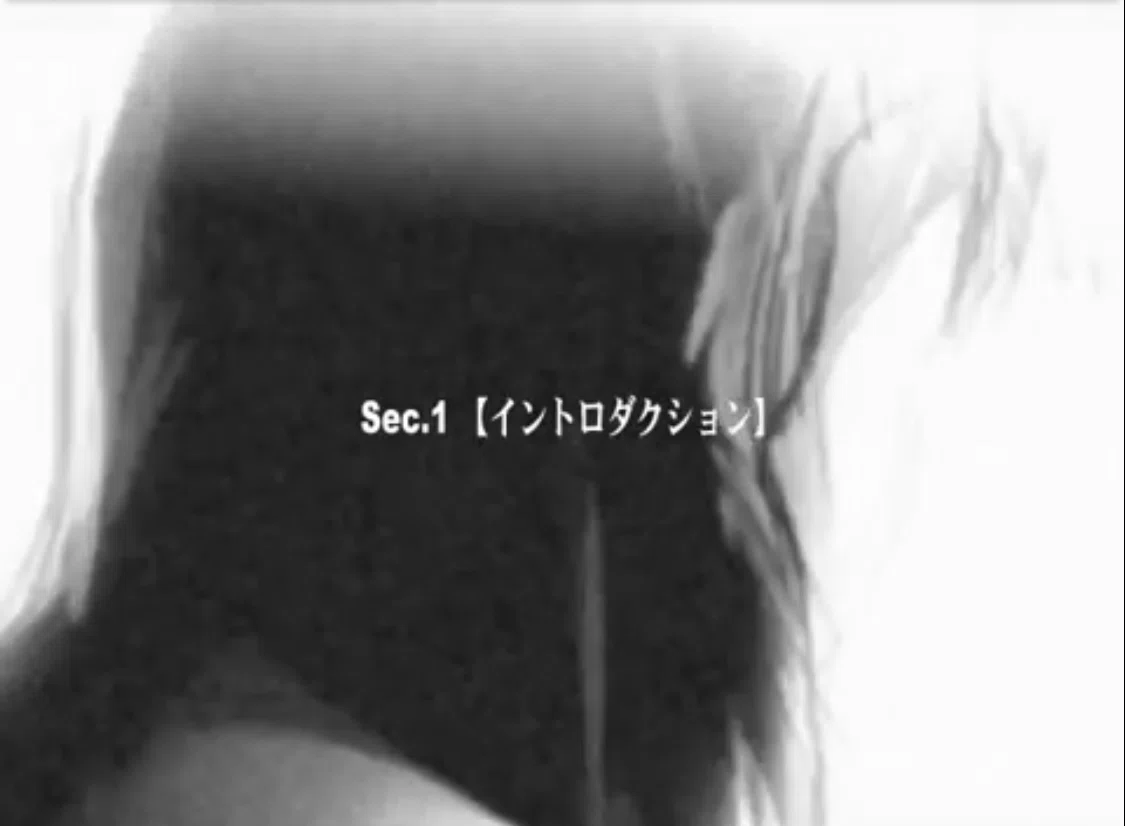 新海誠『彼女と彼女の猫』
