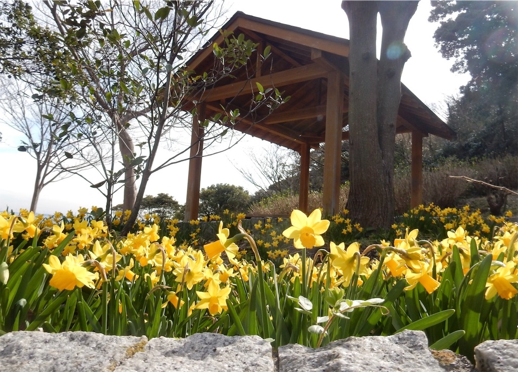 横須賀美術館