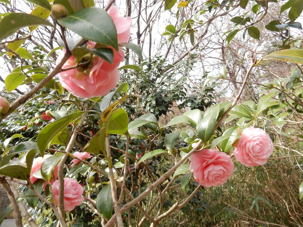 横須賀美術館