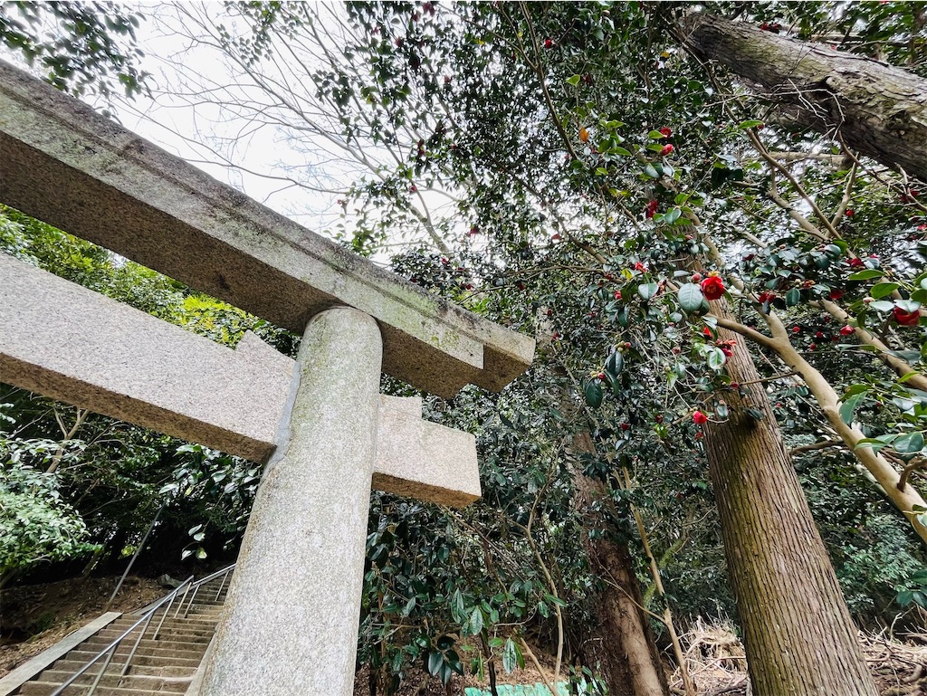 八坂（八阪）神社と狛犬の記憶─坂道ダッシュの先にある桜井市金屋の氏神『てんのはん』