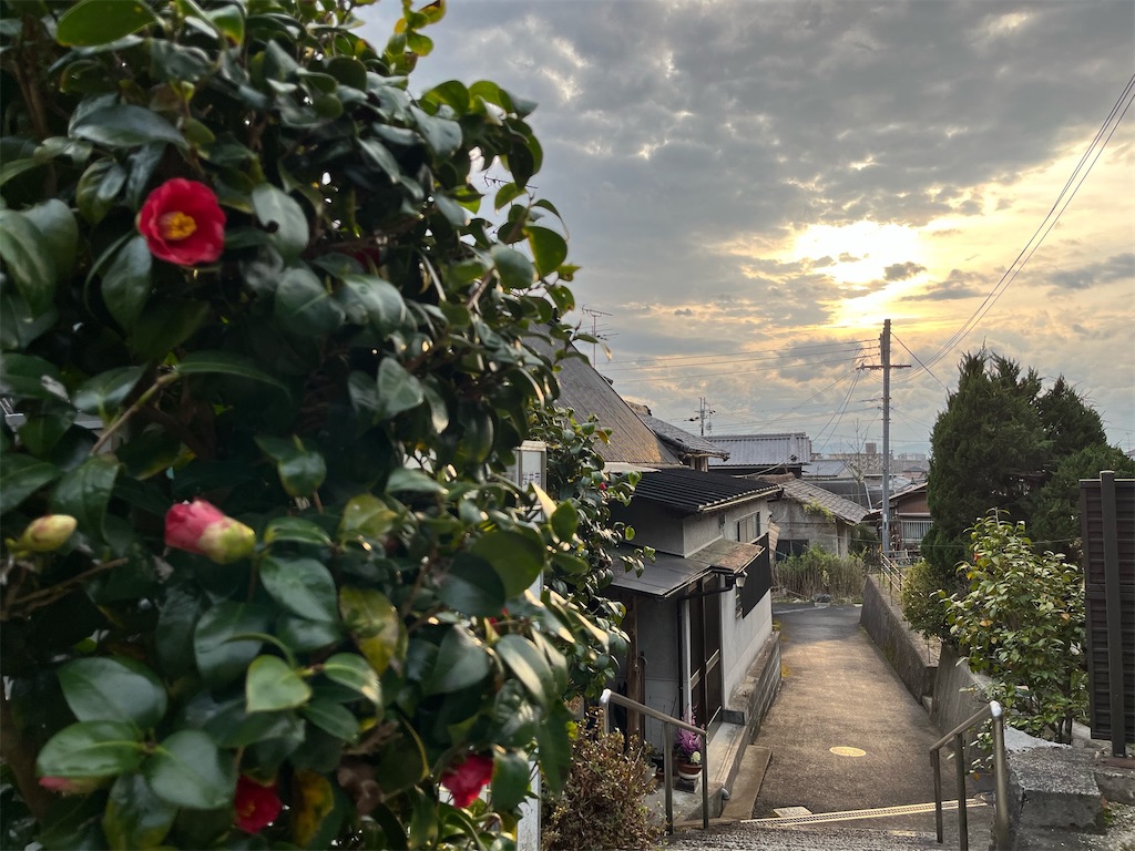 風の残響・海柘榴市〜日本最古の市場と万葉の面影を追って