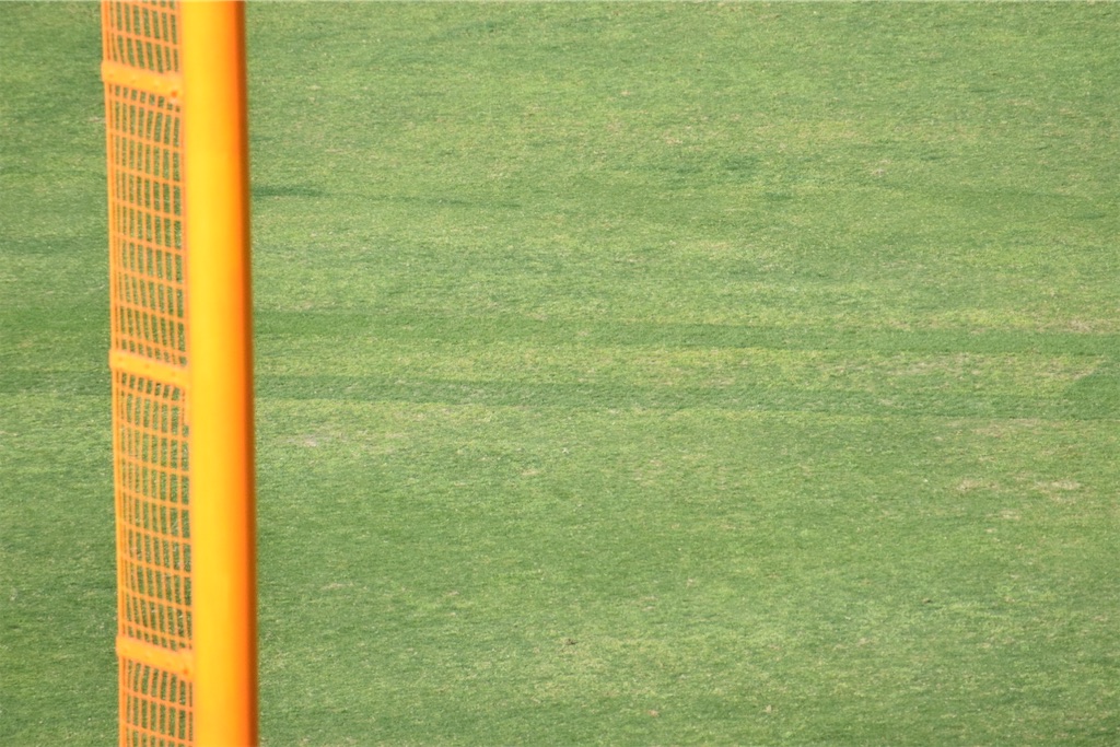 第97回センバツ高校野球