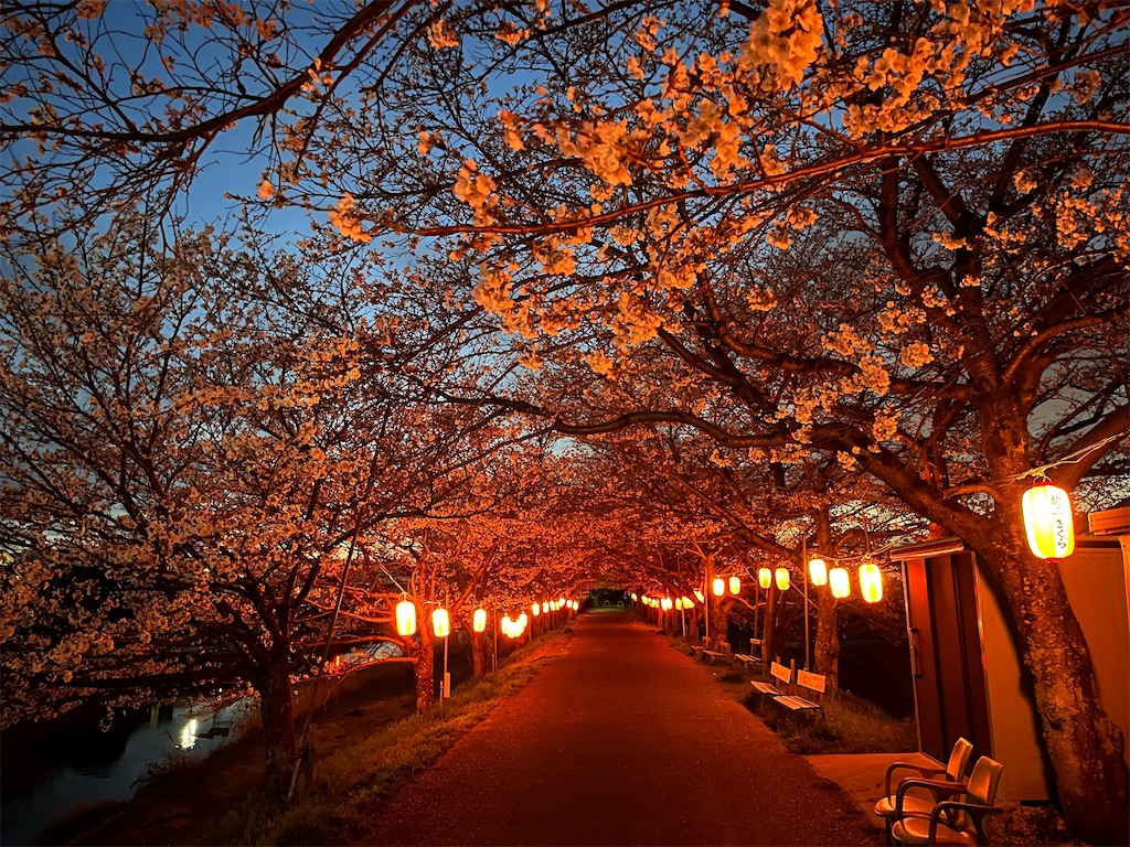 恋灯篭のゆくえ〜初瀬川（大和川）の流れに託す万葉の灯