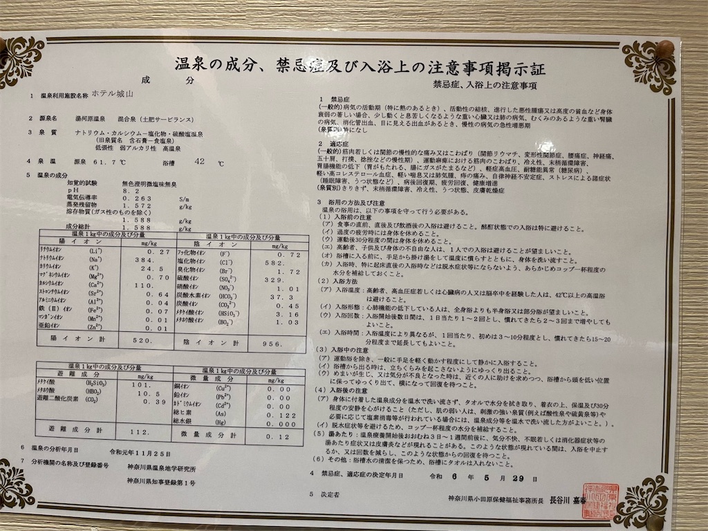 湯河原温泉「ホテル城山」の温泉分析書