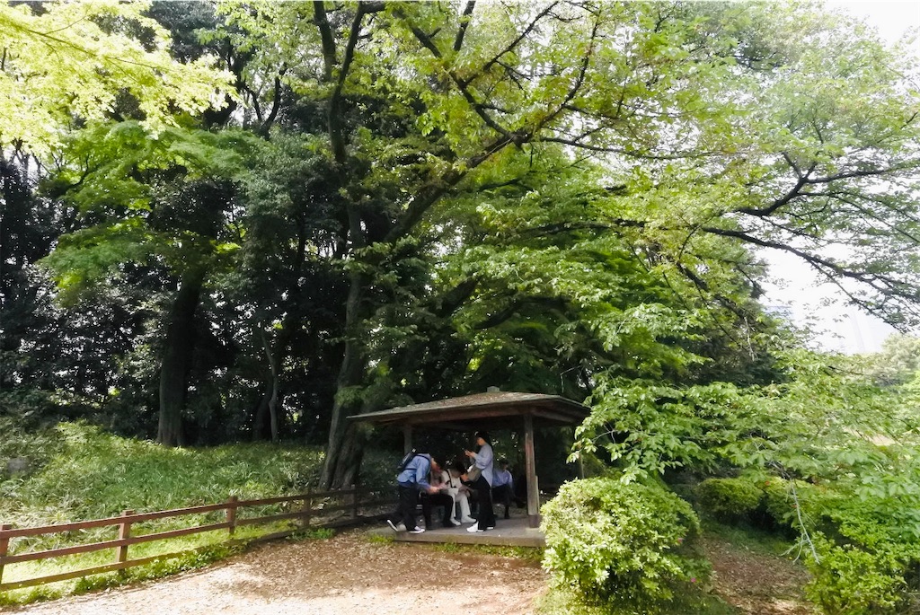 藤棚の言の葉の庭