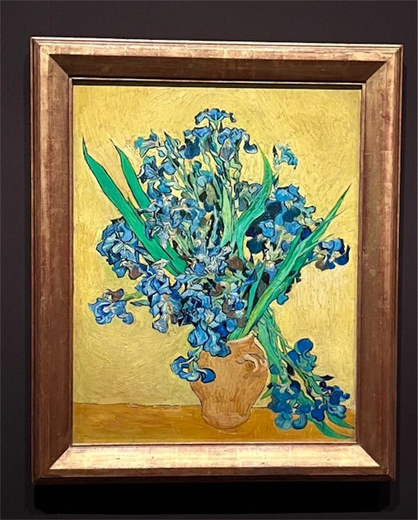 【中古】 ゴッホ：孤独の花束、魂が咲いた花の絵画たち アートの聖書 - 絵画