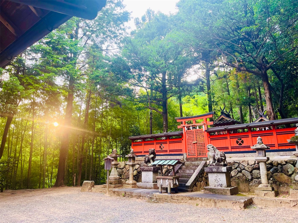 f:id:balladlee:20250707182648j:image