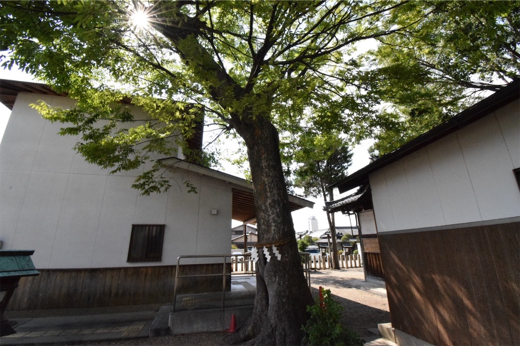 f:id:balladlee:20250818145102j:image