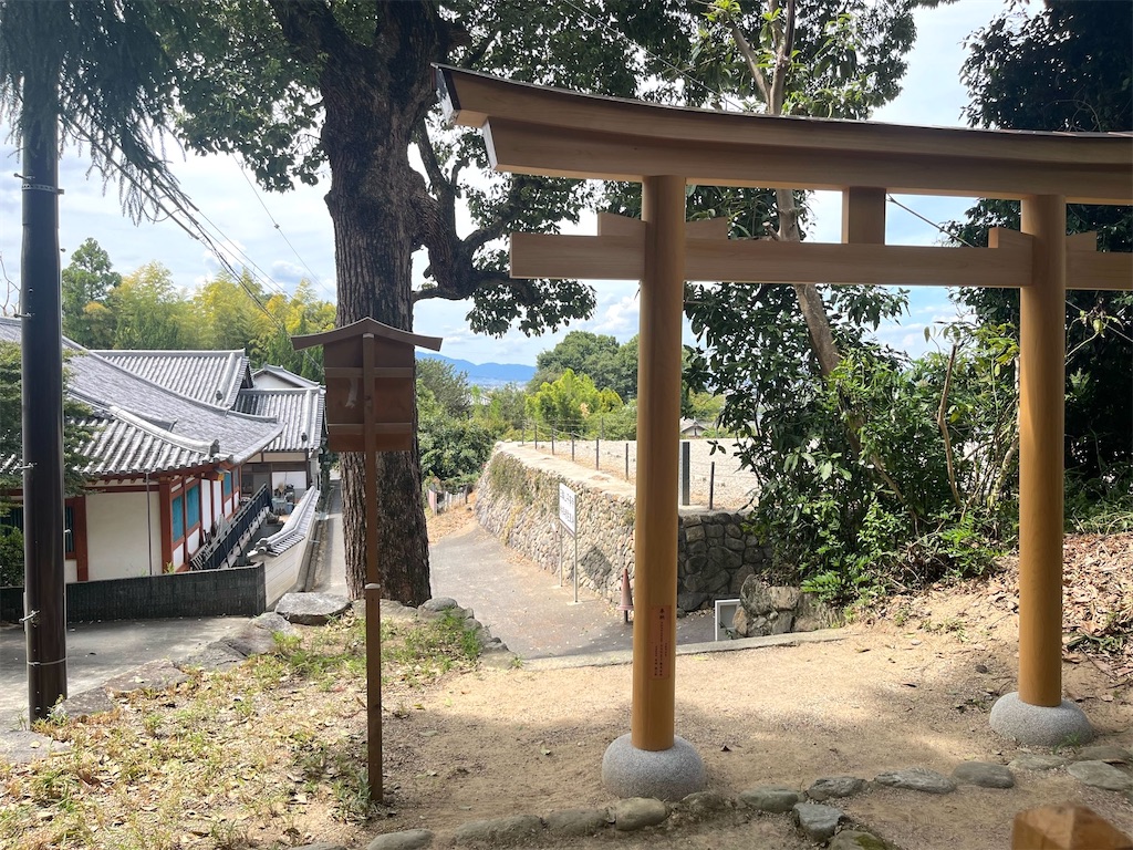 f:id:balladlee:20250903123944j:image