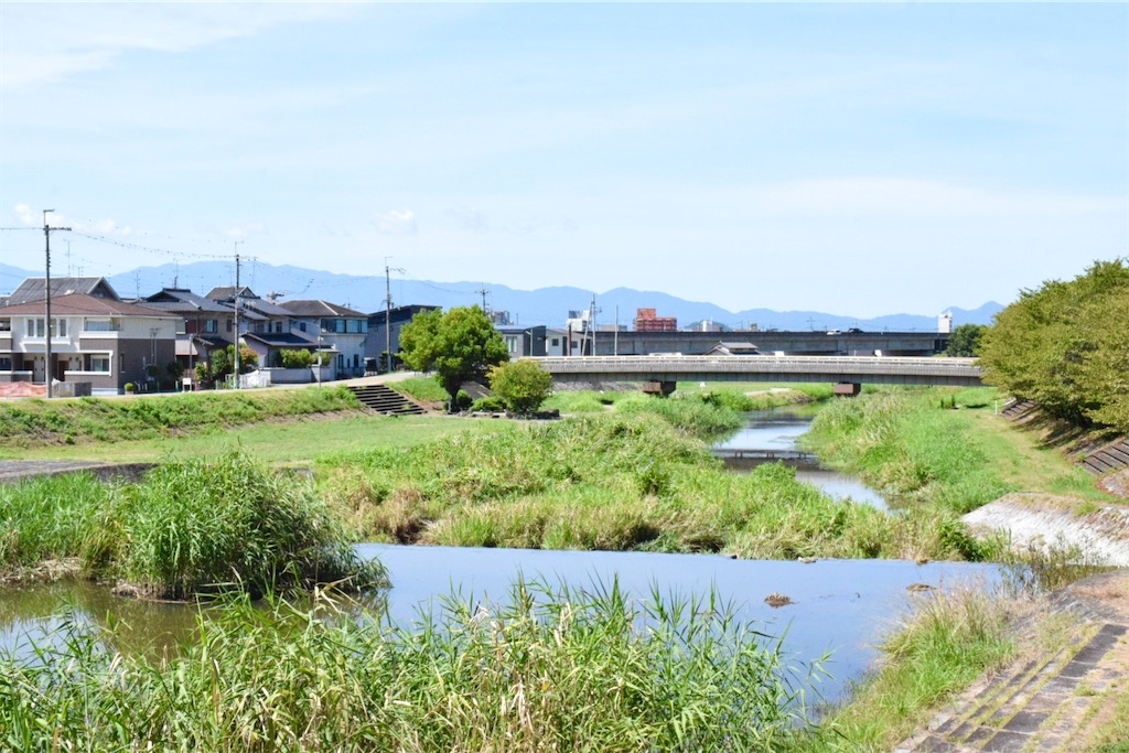 恋灯篭のゆくえ〜初瀬川の流れに託す万葉の灯
