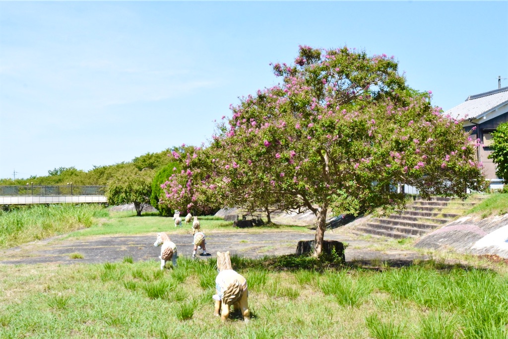 恋灯篭のゆくえ〜初瀬川の流れに託す万葉の灯