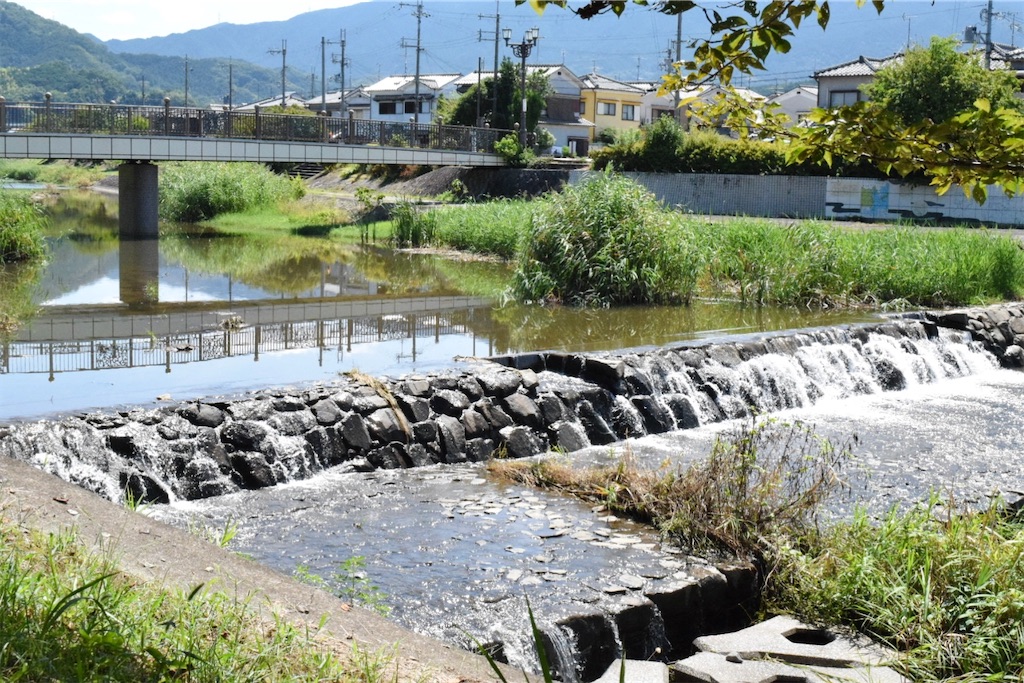 恋灯篭のゆくえ〜初瀬川の流れに託す万葉の灯