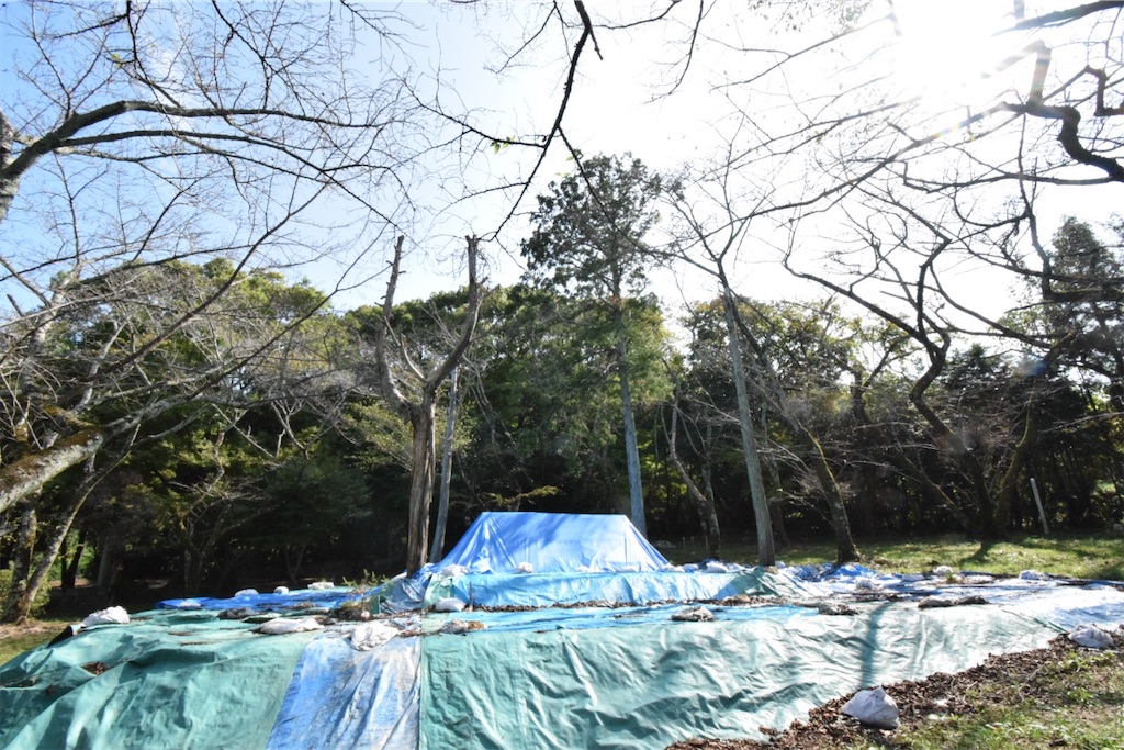 f:id:balladlee:20251015154321j:image