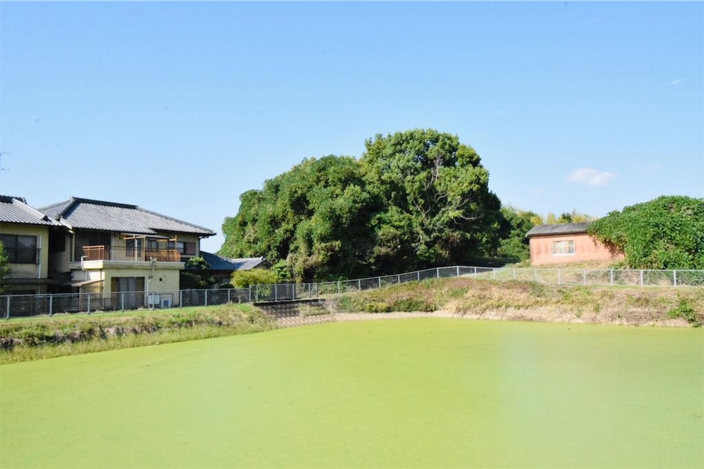 f:id:balladlee:20251015165716j:image