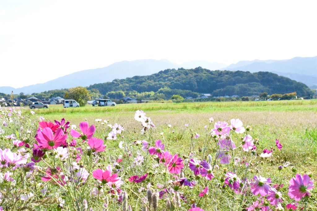 f:id:balladlee:20251018134841j:image