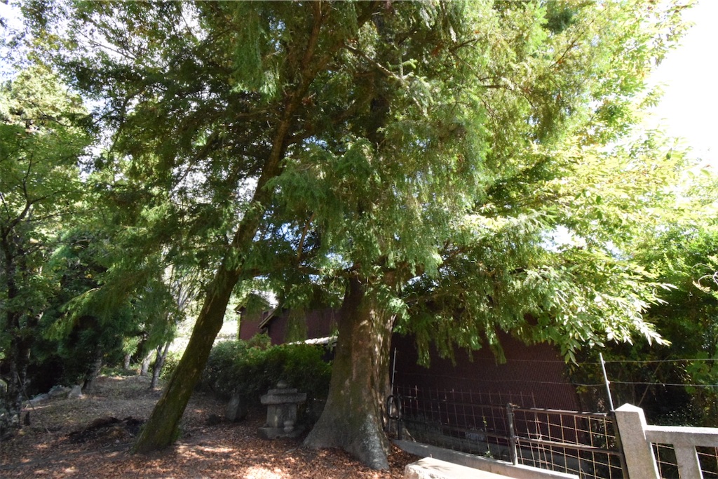 f:id:balladlee:20251018161901j:image