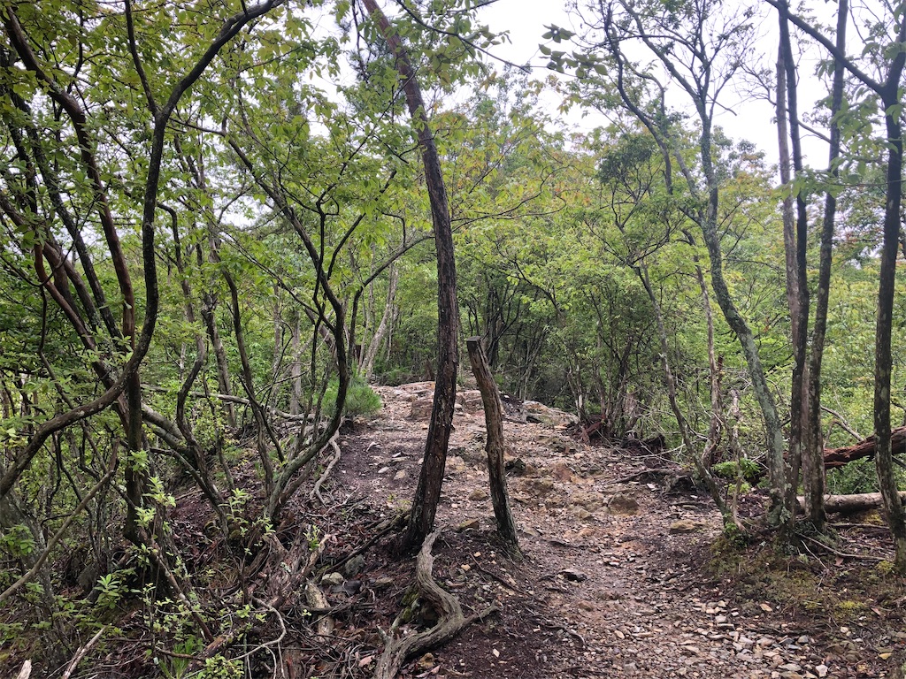 f:id:balladlee:20251020181303j:image