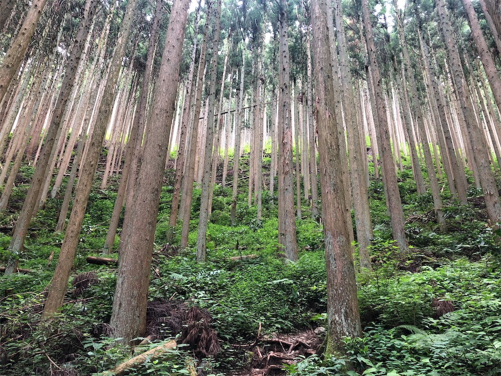 f:id:balladlee:20251020181319j:image