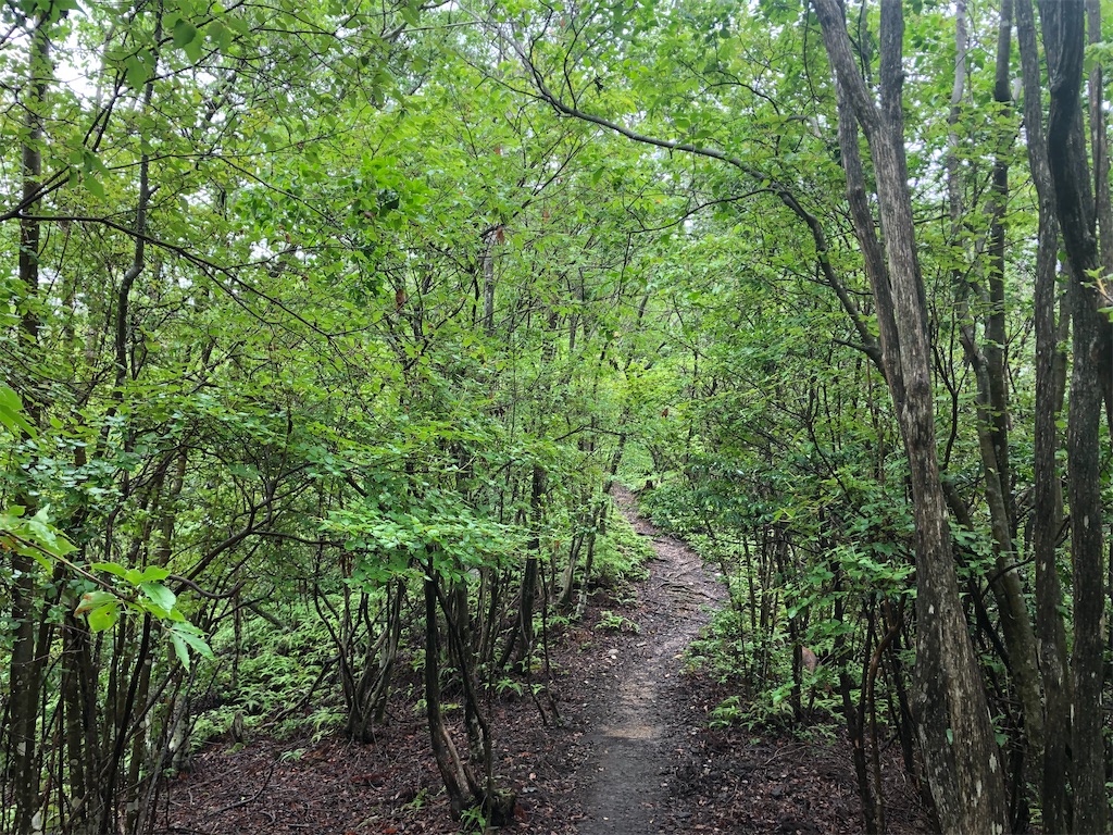 f:id:balladlee:20251020181326j:image