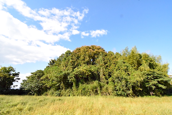 纒向矢塚古墳〜竹の声に古代が眠る丘