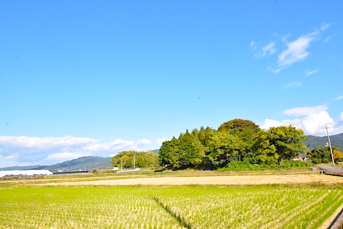 纒向矢塚古墳〜竹の声に古代が眠る丘