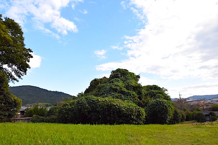 ホケノ山古墳〜卑弥呼の鏡が眠る丘、古代浪漫の源流へ