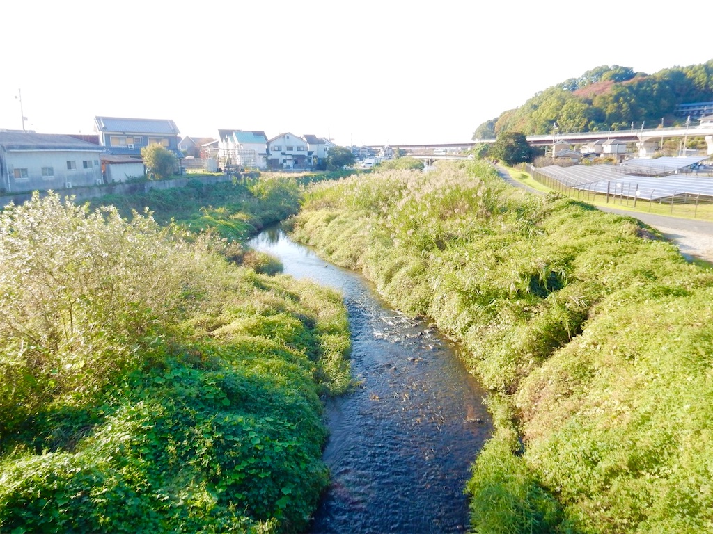 風の残響・海柘榴市〜日本最古の市場と万葉の面影を追って