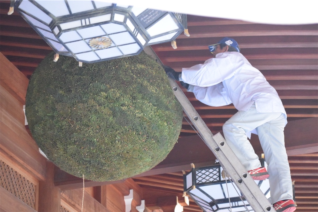 大神神社「杉玉掛け替え」〜青き息吹の生まれる朝に、酒の国が息をする