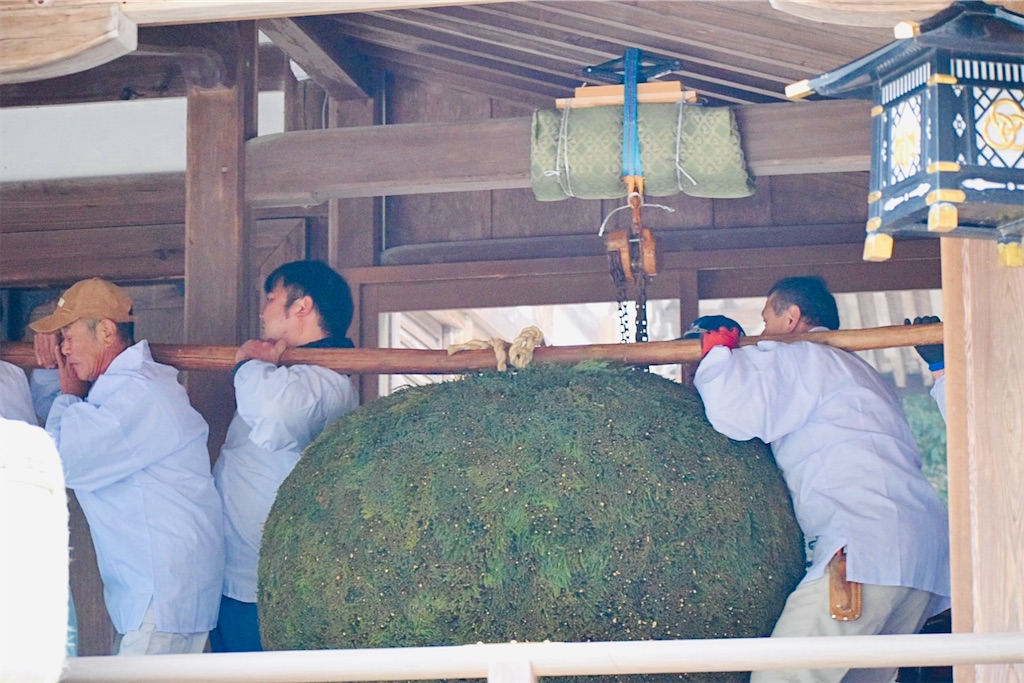 大神神社「杉玉掛け替え」〜青き息吹の生まれる朝に、酒の国が息をする