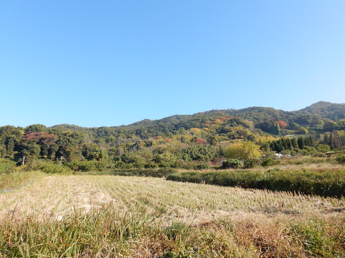 纒向日代宮〜3代目・ヤマト王権、景行天皇と太陽の都