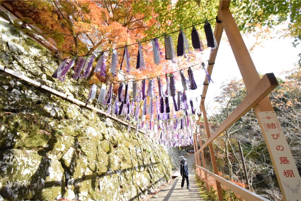 f:id:balladlee:20251118094234j:image