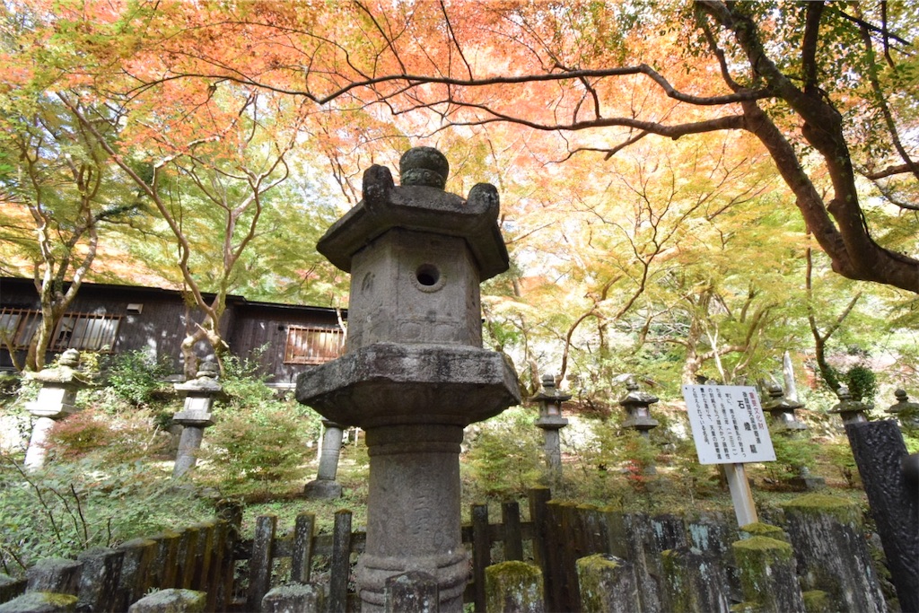 f:id:balladlee:20251118151901j:image