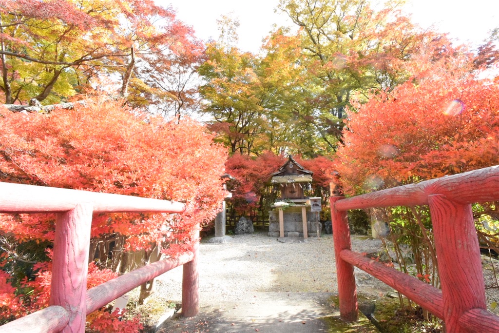 f:id:balladlee:20251118152030j:image