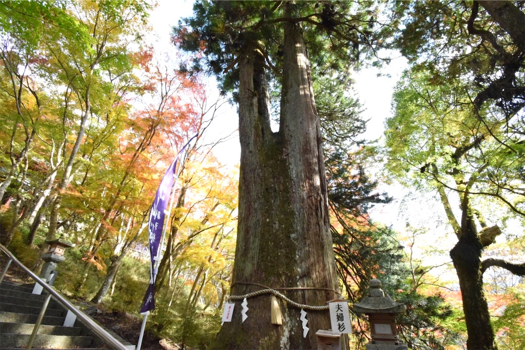 f:id:balladlee:20251118152033j:image