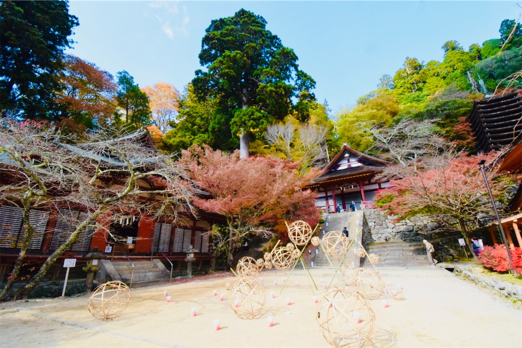 f:id:balladlee:20251118152104j:image