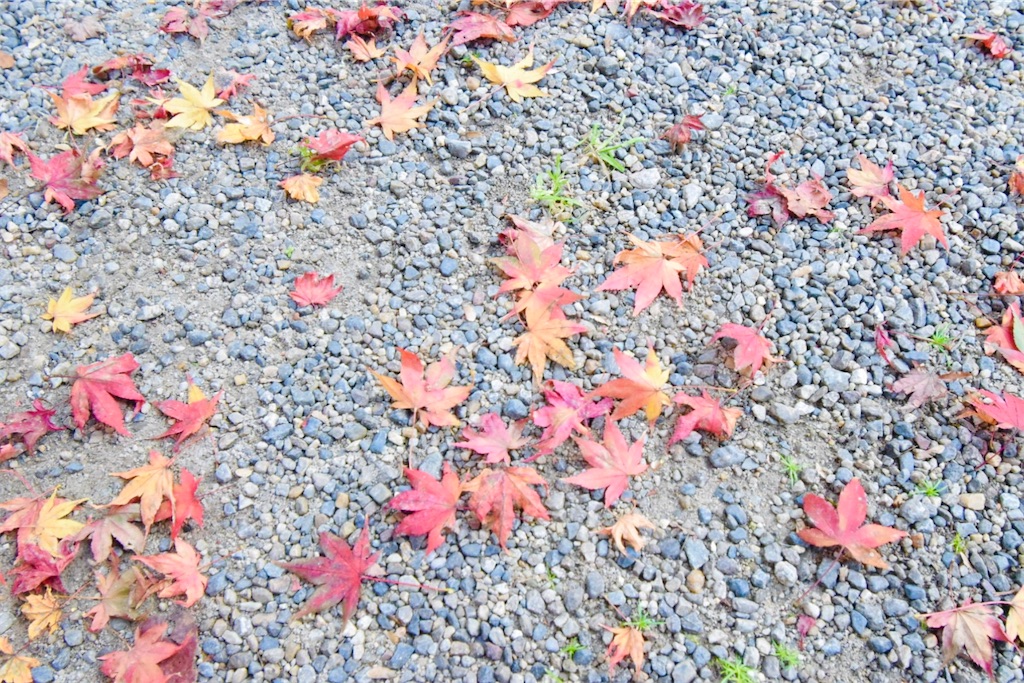 f:id:balladlee:20251118152117j:image