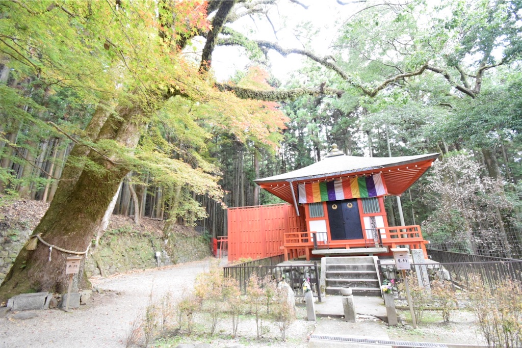 f:id:balladlee:20251118152211j:image