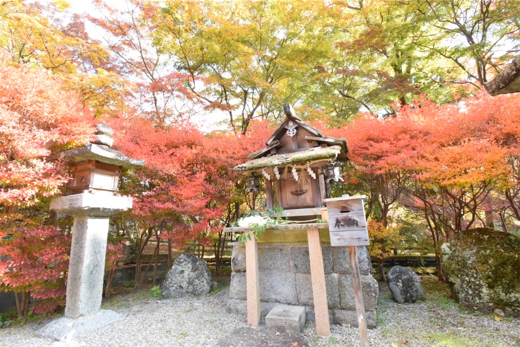 f:id:balladlee:20251118152214j:image