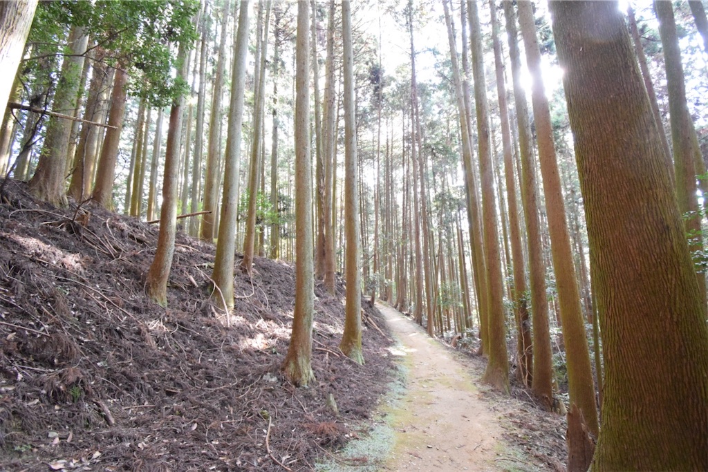 f:id:balladlee:20251118152236j:image