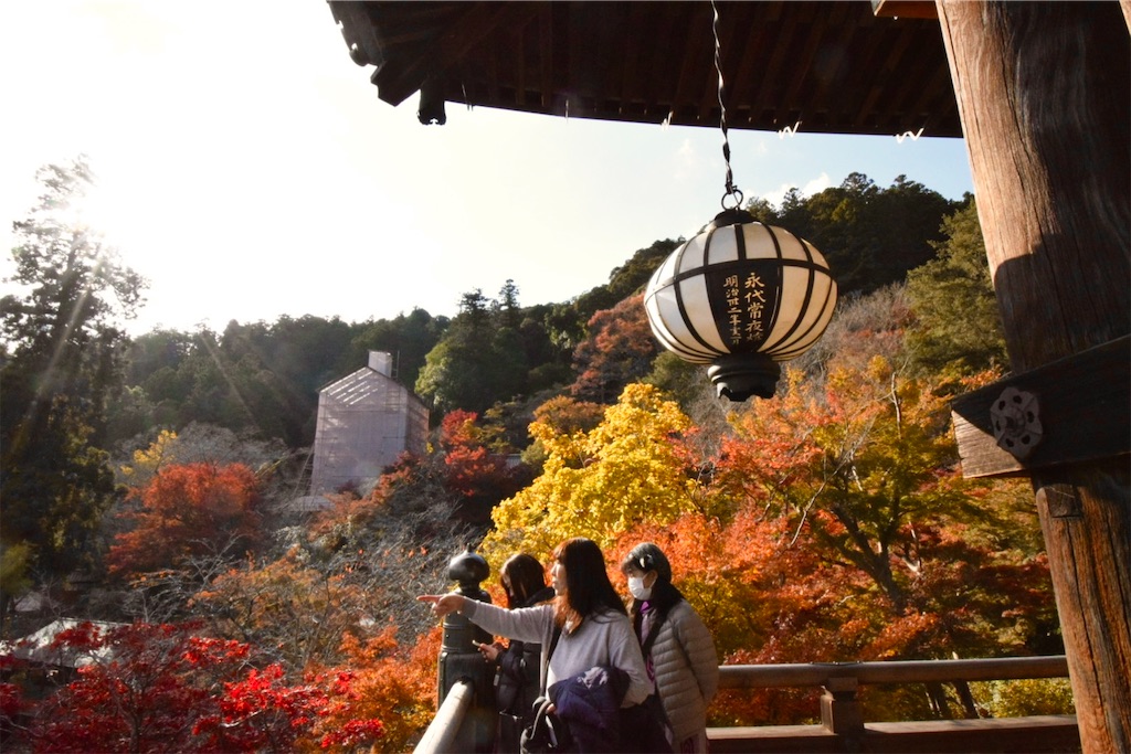 大和国 長谷寺〜ふるさと花の御寺