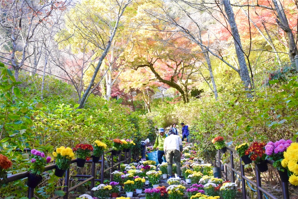 大和国 長谷寺〜世界が静まる谷で、花は巡り続ける、隠国に立つ千三百年の古刹