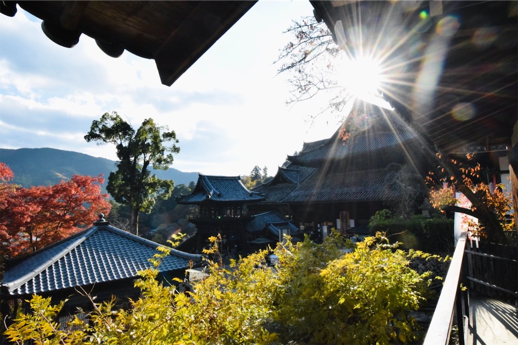 大和国 長谷寺〜ふるさと花の御寺