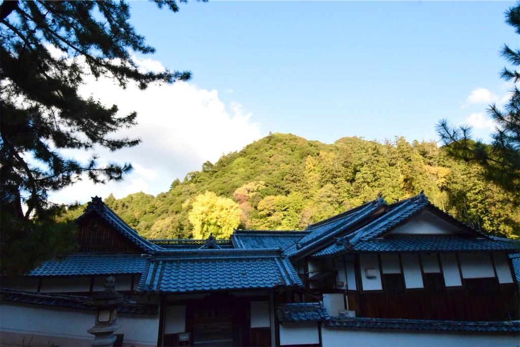 大和国 長谷寺〜ふるさと花の御寺