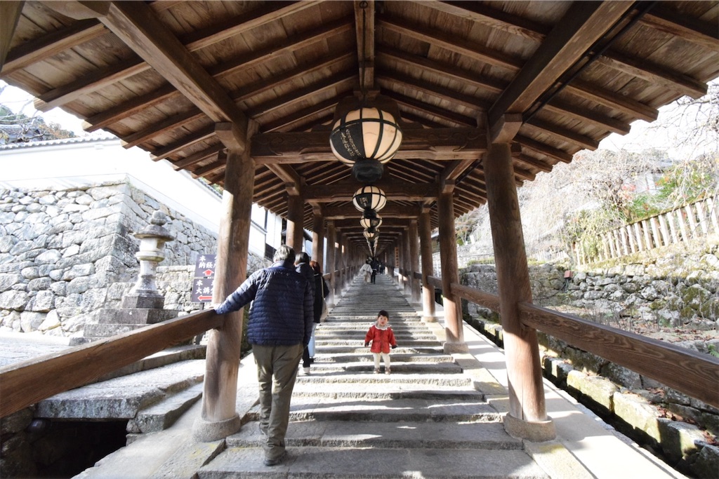 大和国 長谷寺〜ふるさと花の御寺